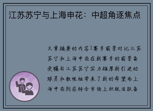 江苏苏宁与上海申花：中超角逐焦点