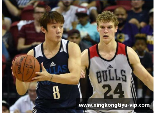 NBA独行者：揭秘球场上的孤胆英雄